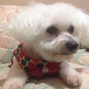 Meet your Posher, Linda